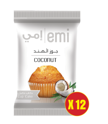 Coconut Pack of 12