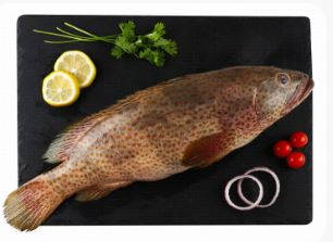 Fresh Medium Whole Hammour local 1 kg 65 AED